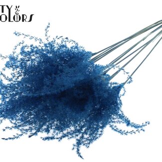 QC Plumes de Roseau de Chine Séchées | Couleur : Bleu Foncé | Fleurs Séchées de Miscanthus | Longueur ± 70 centimètres | 5 plumes par bouquet | Par bouquet