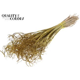 QC Dried Palm Leaf Vein | Curly Ting Ting | Colour: Yellow | Length ± 70 centimetres | 3 sprigs per bunch | 33 bunches per bouquet | Per bouquet