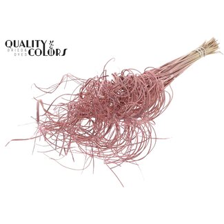 QC Dried Palm Leaf Vein | Curly Ting Ting | Colour: Frosted Light Pink | Length ± 70 centimetres | 3 sprigs per bunch | 33 bunches per bundle | Per bundle
