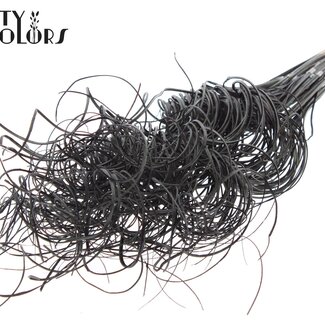 QC Gedroogd Palmblad Nerf | Curly Ting Ting | Kleur: Zwart | Lengte ± 70 centimeter | 3 takjes per toefje | 33 toefjes per bos | Per bos