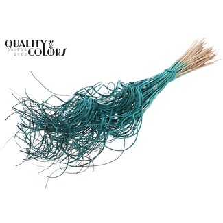 QC Dried Palm Leaf Vein | Curly Ting Ting | Colour: Turquoise | Length ± 70 centimetres | 3 sprigs per bunch | 33 bunches per bouquet | Per bouquet