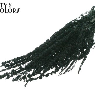 QC Dried Hanging Amaranthus | Colour: Black | Cat's Tail Dried Flowers | Length ± 70 centimetres | Per bunch