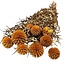 Oranje Echinops XL gepreserveerde bloemen | Lengte ± 65 centimeter | Gewicht ± 350 gram | Per 10 takken