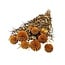 Oranje Echinops XL gepreserveerde bloemen | Lengte ± 65 centimeter | Gewicht ± 350 gram | Per 10 takken