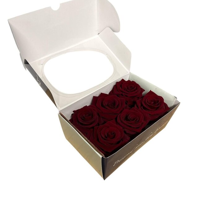 Preserved Rose Heads | Colour: Red Classic | Packed per 6 roses