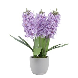 Arti Flora Hyazinthe Kunstblume in Zementtopf | Farbe: Lila | Länge ± 40 centimeter | 3 Hyazinthen pro Topf | Pro Topf
