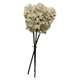 Arti Flora Hyazinthe Kunstblume | Farbe: Natuurlijk Weiß | Länge ± 40 centimeter | 3 Stiele pro Bund | Pro Bund