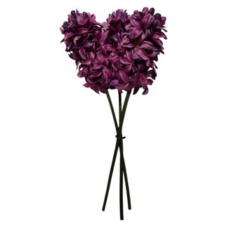 Arti Flora Jacinthe Fleur artificielle | Couleur: Violet | Longueur ± 40 centimeter | 3 tiges par bouquet | Par bouquet