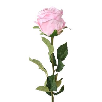 Arti Flora Roos Kunstbloem | Kleur: Roze | Rozen kunstbloemen | Lengte ± 70 centimeter | Per kunstroos