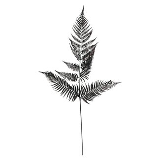 Fern Parietai Leaf Artif | Brown | 95 cm |  Per stem