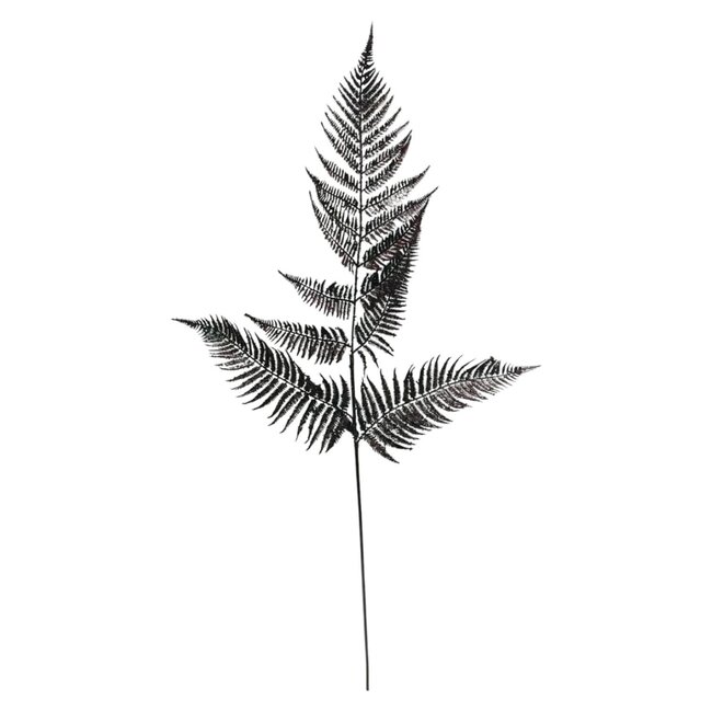 Parietai Feuille de fougère Plante artificielle | Couleur: Marron | Longueur ± 95 centimeter | Par branche