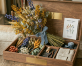 Broom Bloom (Brembloesem): Geef je Droogboeketten een Luchtige en Kleurrijke Boost met Gedroogde Broom Bloom