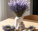 Lavandula (Lavendel) – Hol dir die Provence nach Hause: Alles über das Styling und die Verwendung von frischem und getrocknetem Lavendel