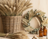 Pennisetum (Fountain Grass) - Add an Airy Touch to Your Interior: Everything About Styling and Combining Pennisetum Ornamental Grass