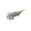Frosted Grey Curly Ting Ting dried flowers | Length ± 60 centimetres | Weight ± 100 grams