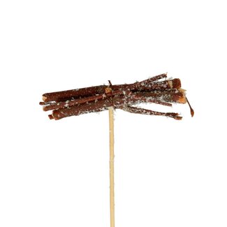4A Wilgentakjes op stok | Kleur: Bruin | Diameter 8 centimeter | Lengte ± 50 centimeter | Per 25 bijstekers