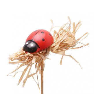4A Coccinelle sur tige | Couleur: Rouge | Diamètre 4 centimeter | Longueur ± 50 centimeter | Par 25 piques