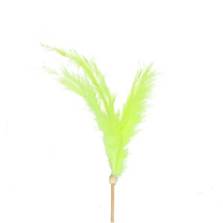 4A Plumes sur tige | Couleur: Vert | Plumes tige de fixation | Longueur plume 14 centimeter | Longueur tige de fixation ± 50 centimeter | Par 25 tiges de fixation