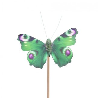 4A Schmetterling Auralia am Stab | Farbe: Grün | Schmetterling-Stecker | Durchmesser 8 centimeter | Länge ± 50 centimeter | Pro 25 Stecker