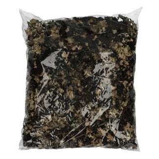4A Séché Lichen crustacé Musgo | Couleur: Noir | Décoration sèche | Poids 250 gram | Par sac