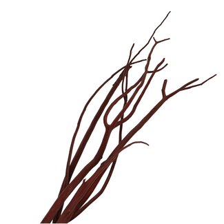 4A Getrocknete Mitsumata Flocken Zweige | Farbe: Braun | Trocken-Dekoration | Länge ± 115 centimeter | 3 Zweige pro Bund | Pro Bund