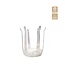 Rapideau Flower holder | Colour: Transparent | Height 14 centimetre | Per 20 rapideaus