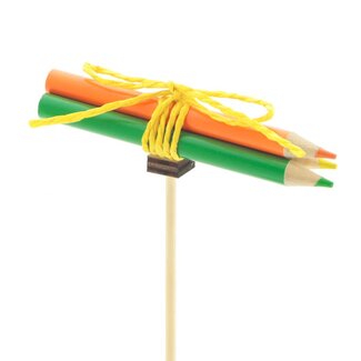 4A Crayons sur tige | Couleur: Couleurs mélangées | Diamètre 8 centimeter | Longueur ± 50 centimeter | Par 25 piques