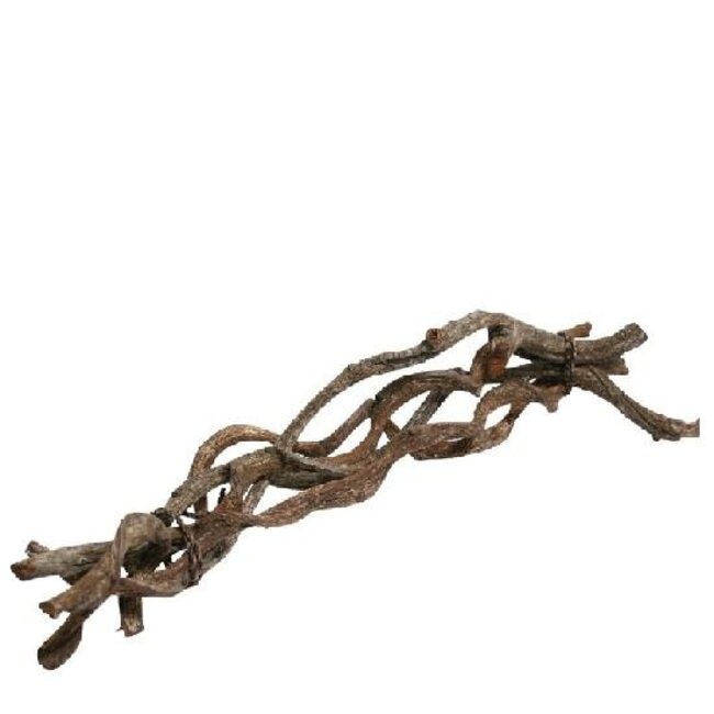 Getrocknete Curly Bündel | Farbe: Braun | Trocken-Dekoration | Länge ± 60 centimeter | Pro 5 Bündel