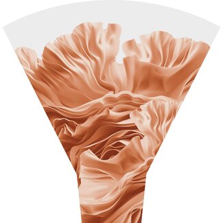 4A Hüllen Feline | Farbe: Orange | Länge 50 centimeter | Breite 44 centimeter | Höhe 12 centimeter | Pro 50 Hüllen