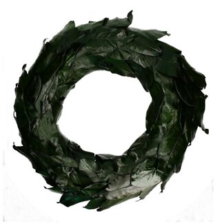 4A Magnolia leaf Wreath | Colour: Dark green | Diameter 70 centimetre | Per wreath