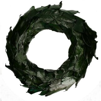 4A Magnoliablad Krans | Kleur: Donkergroen | Diameter 80 centimeter | Per krans