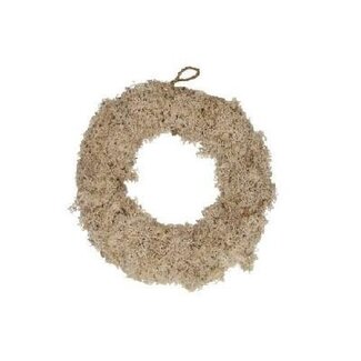 4A Couronne de mousse de renne | Couleur: crème | Diamètre 20 centimeter | Par couronne