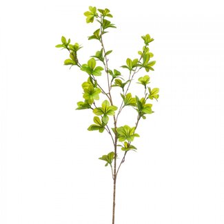 4A Nasturtium Kunsttak Kunsttak | Colour: Green | Tropaeolum artificial flowers | Length ± 90 centimeter | Per 6 artificial stems