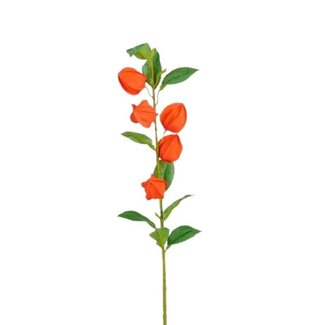 4A Branche artificielle de plante-lanterne | Couleur: Oranje | Fleurs artificielles de physalis | Longueur ± 69 centimeter | Par 12 branches artificielles