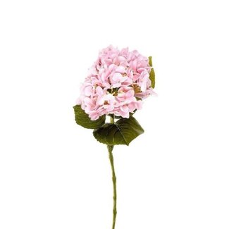 4A Hortensie Kunstblume | Farbe: Hellrosa | Hydrangea Kunstblumen | Länge ± 63 centimeter | Pro 6 Kunstblumen