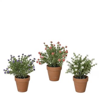 4A Bloeiende Plant Kunstplant | Kleur: Gemengde Kleuren | Diameter ± 7 centimeter | Hoogte ± 21 centimeter | Per 12 kunstplanten