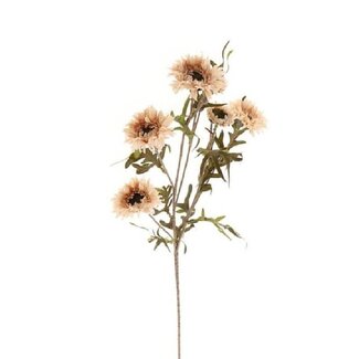 4A Marguerite Fleur artificielle | Couleur: couleur champagne | Marguerite fleurs artificielles | Longueur ± 80 centimeter | Par 12 fleurs artificielles