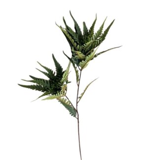 4A Fleur artificielle de fougère | Couleur: Vert foncé | Longueur ± 95 centimeter | Par 6 fleurs artificielles