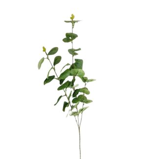 4A Eucalyptus Branche artificielle | Couleur: Vert clair | Longueur ± 90 centimeter | Par 10 Branches artificielles