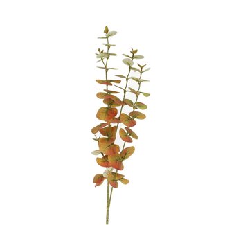 4A Eucalyptus branche artificielle | Couleur: Marron | Longueur ± 80 centimeter | Par 10 branches artificielles