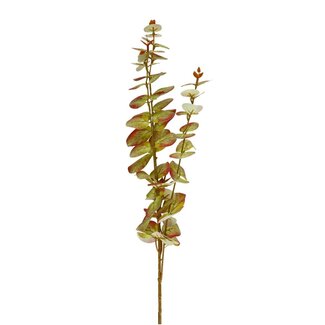4A Eukalyptus Kunstzweig | Farbe: Hellgrün | Länge ± 80 centimeter | Pro 10 Kunstzweige