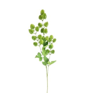 4A Fleur artificielle de cardère “Sunshine Fruit” | Couleur: Vert | Dipsacus Fleurs artificielles | Longueur ± 85 centimeter | Par 10 fleurs artificielles