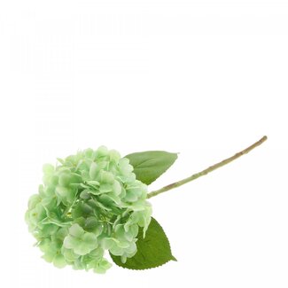 4A Hortensia Kunstbloem | Kleur: Lichtgroen | Hydrangea Kunstbloemen | Lengte ± 55 centimeter | Per 4 kunstbloemen
