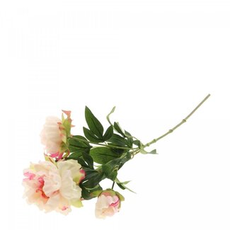 4A Pivoine Fleur artificielle | Couleur: Rose clair | Paeonia Fleurs artificielles | Longueur ± 67 centimeter | Par 12 fleurs artificielles