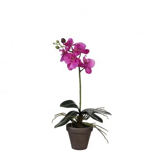 4A Vlinderorchidee Kunstplant met pot | Kleur: Fuchsia | Phalaenopsis Kunstplant | Diameter ± 11 - 13 centimeter | Hoogte ± 48 centimeter | Per 6 kunstplanten