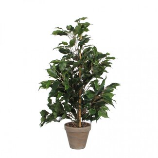 4A Vijgenblad Kunstplant met pot | Kleur: Groen | Ficus Exotica Kunstplant | Diameter ± 13 - 40 centimeter | Hoogte ± 65 centimeter | Per 6 kunstplanten
