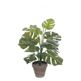 4A Monstera Kunstplant met pot | Kleur: Groen | Gatenplant Kunstplant | Diameter ± 13 - 39 centimeter | Hoogte ± 48 centimeter | Per 4 kunstplanten
