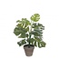 Monstera Kunstplant met pot | Kleur: Groen | Gatenplant Kunstplant | Diameter ± 13 - 39 centimeter | Hoogte ± 48 centimeter | Per 4 kunstplanten