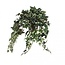 Klimop Kunstplant met pot | Kleur: Groen Wit | Hedera Helix Kunstplant | Diameter ± 11 - 25 centimeter | Hoogte ± 45 centimeter | Per 4 kunstplanten