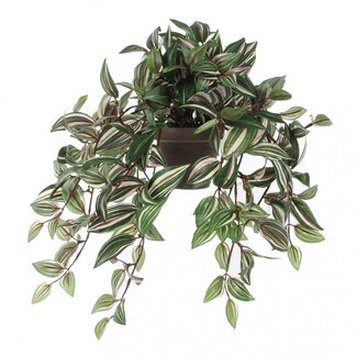 4A Vaderplant Plante artificielle avec pot | Couleur: Vert | Tradescantia Plante artificielle | Diamètre ± 11 - 25 centimeter | Hauteur ± 45 centimeter | Par 4 plantes artificielles